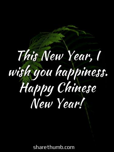 best chinese new year 2022 wishes